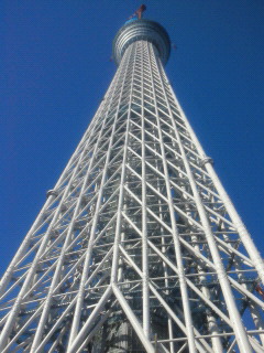201011031316000.jpg