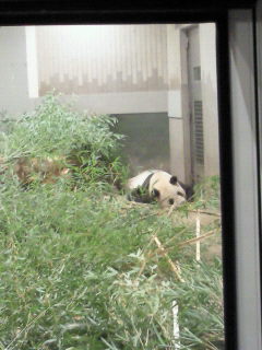 201105041803001.jpg